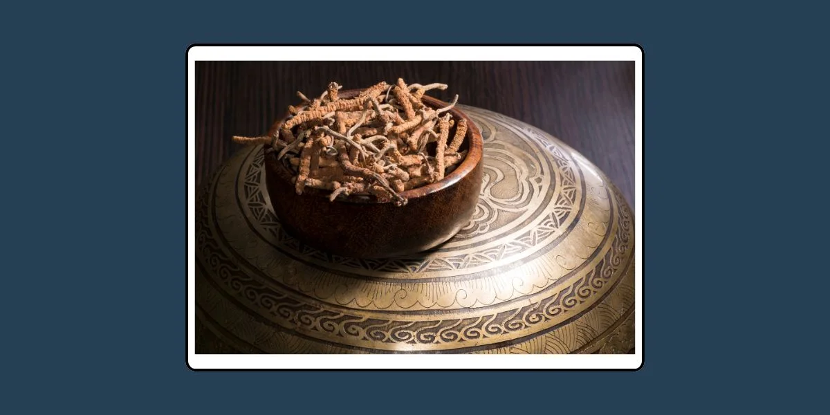 Ruling (Fatwa) Chularatchamontri No. 09/2015 regarding products containing rental tanks or cordyceps