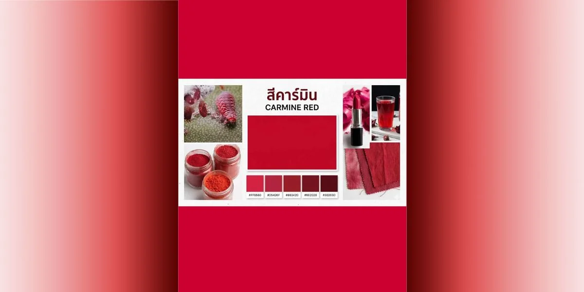 Judgment (Fatwa) Chularatchamontri No. 01/2011 regarding the use of food coloring derived from insects.