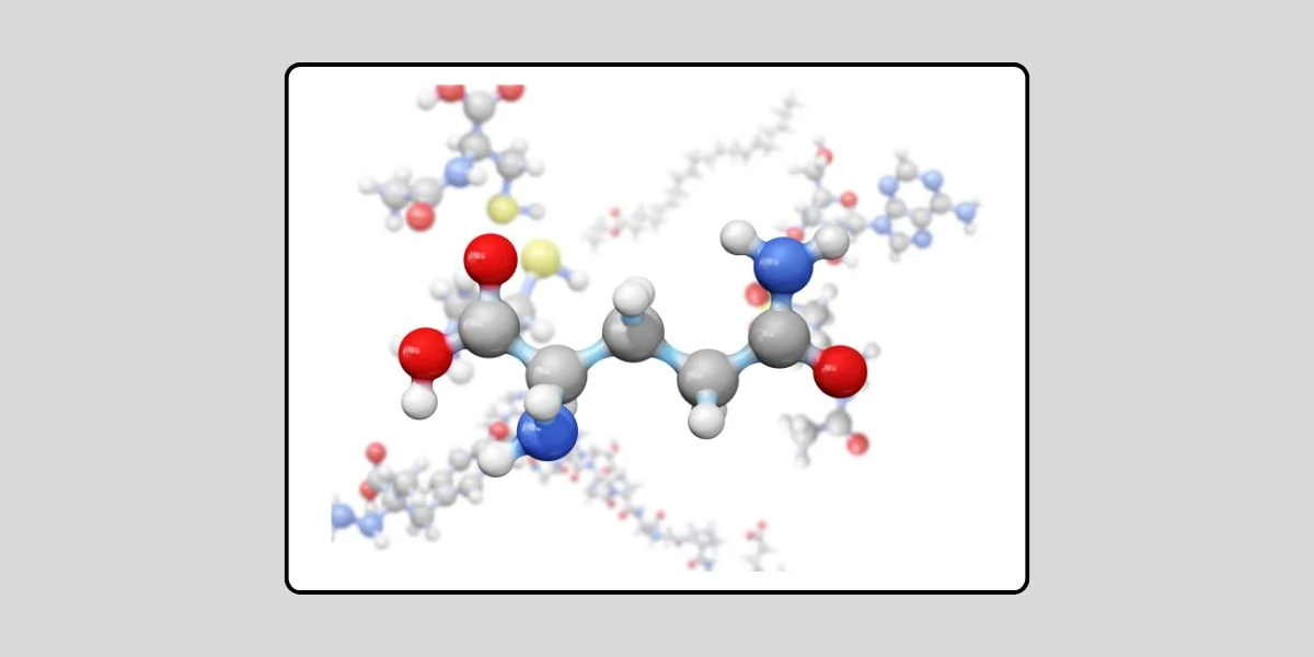 คำวินิจฉัย (ฟัตวา) จุฬาราชมนตรี ที่ 01/2556 เรื่อง สารที่มีแหล่งกำเนิดมาจากมนุษย์ ในการผลิตอาหารเพื่อการบริโภค