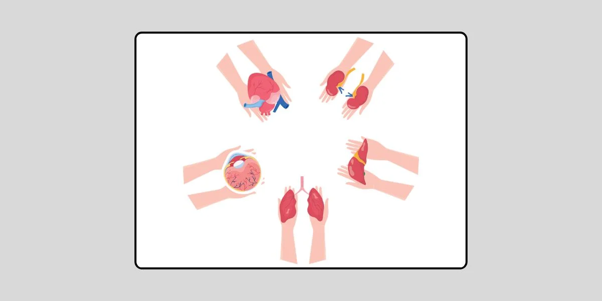 คำวินิจฉัย (ฟัตวา) จุฬาราชมนตรี ที่ 11/2556 เรื่อง การบริจาคอวัยวะและการใช้ประโยชน์จากอวัยวะของมนุษย์