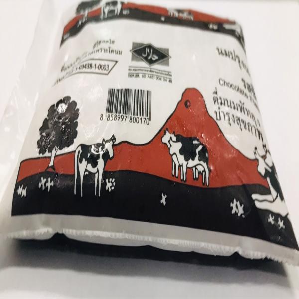 CHOCOLATE FLAVOURED MILK PASTEURIZED