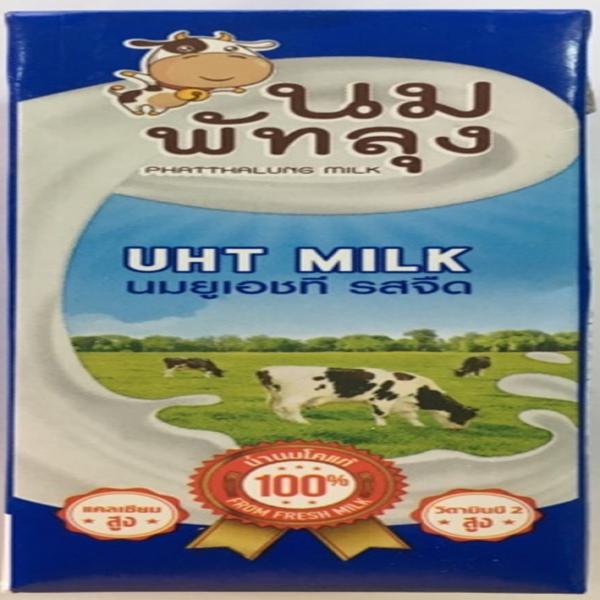 UHT PLAIN MILK