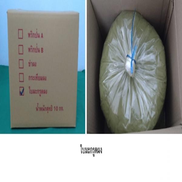 ใบมะกรูดผง