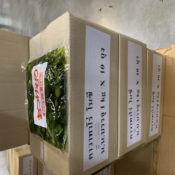 Pickled Cucumber (Kawataro)