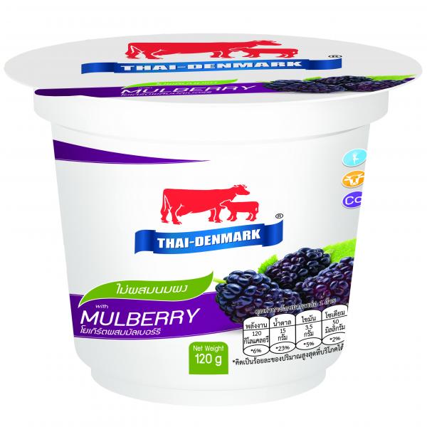 Yoghurt with Mulberry