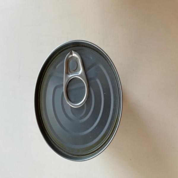 Canned Mango in Syrup