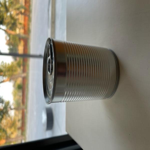 Canned Mango in Syrup