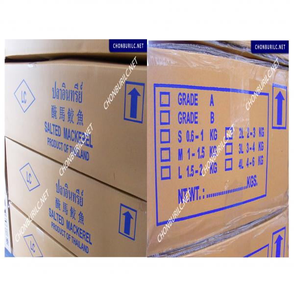 DRIED SALTED MACKEREL