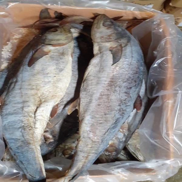 DRIED SALTED MACKEREL