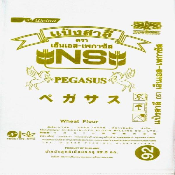NS-PEGASUS