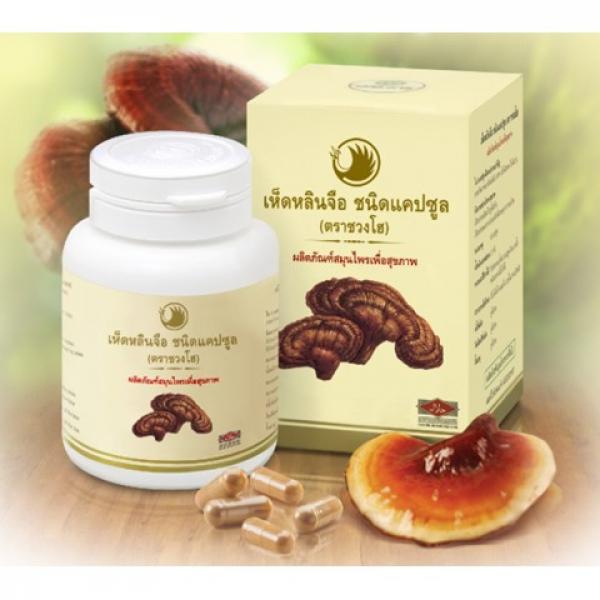 ผลิตภัณฑ์ เห็ดหลินจือ ชนิดแคปซูล (ตราชวงโฮ) ผลิตภัณฑ์สมุนไพรเพื่อสุขภาพ
