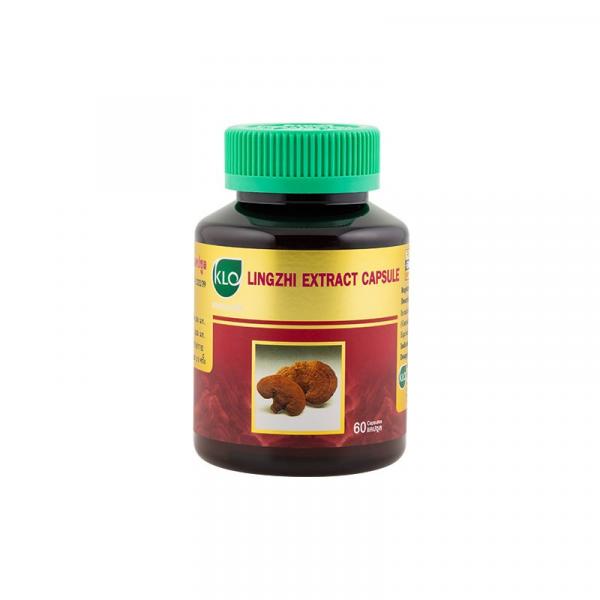 Lingzhi Extract Powder
