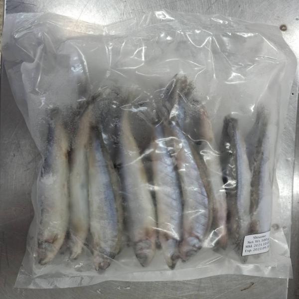 FROZEN CAPELIN (SHISAMO)