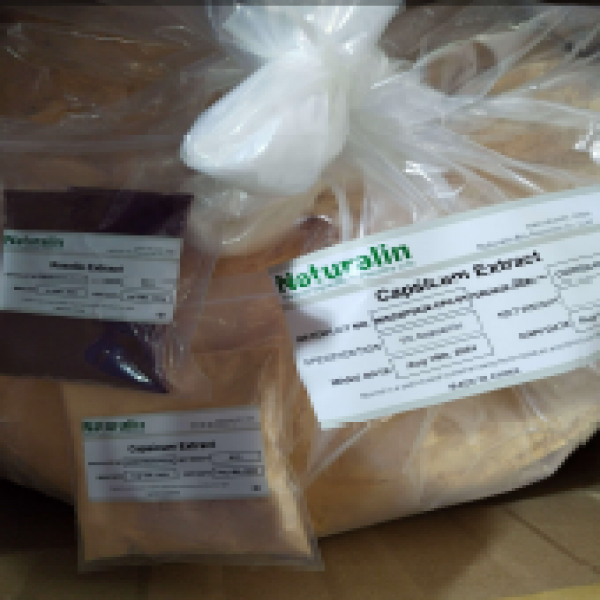 Capsicum Extract