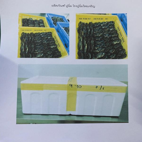 ผลิตภัณฑ์ปูนิ่มแช่เยือกแข็ง