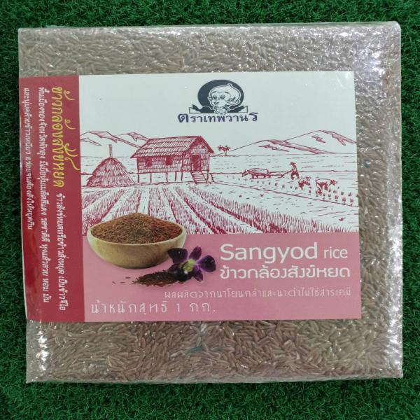 ข้าวกล้องสังข์หยด