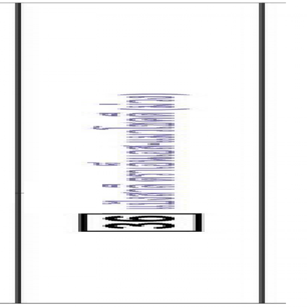 NS-LUCKY CAT PURPLE BRAND WHEAT FLOUR