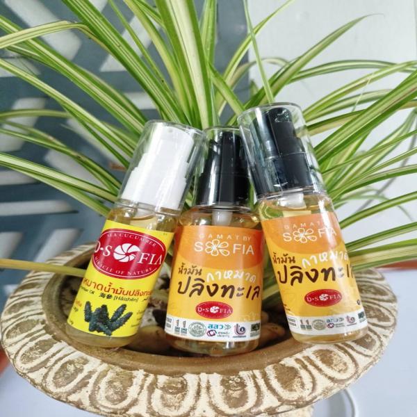 น้ำมันกาหมาดปลิงทะเล