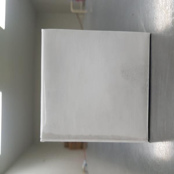 Whole Kernel Corn in Brine