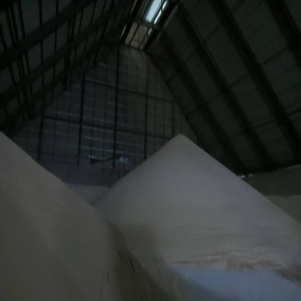 น้ำตาลทรายดิบ