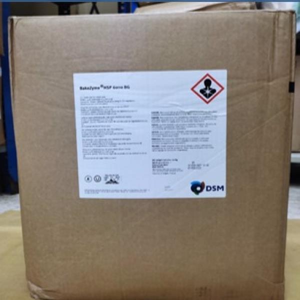 Bakezyme HSP 6000 BG