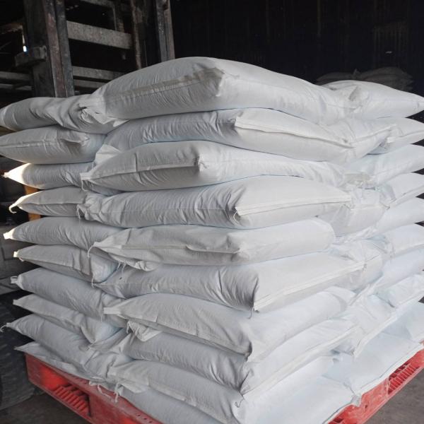 สาคูเขียว