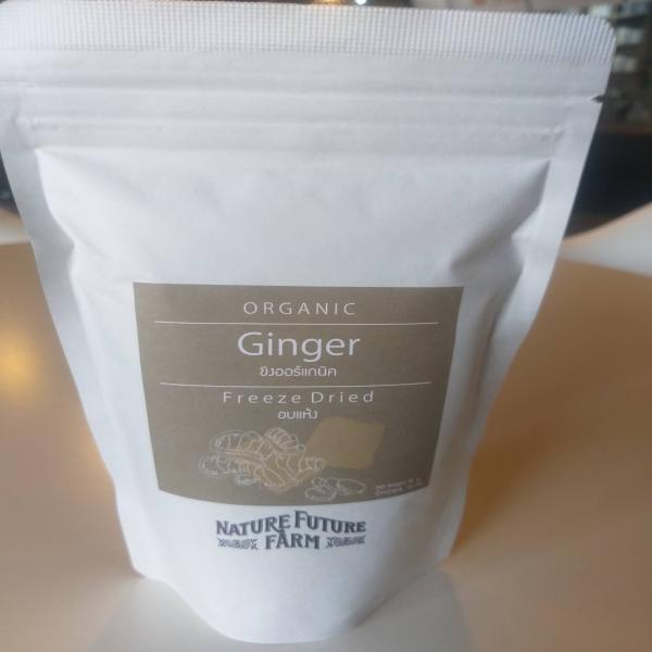 ORGANIC FREEZE DRIED GINGER
