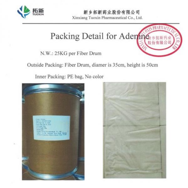 ADENINE - Henan Dingxin Pharmaceuticdal Technology Co.,ltd