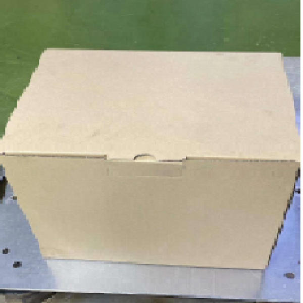 White Pepper Powder / Vietnam