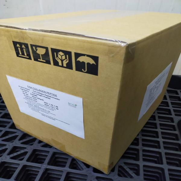 Fish Collagen Peptide powder