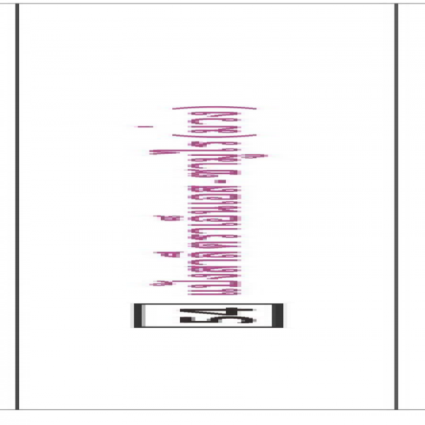 NS-SAMURAI PURPLE BRAND WHEAT FLOUR
