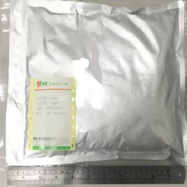 Bifidobacterium breve