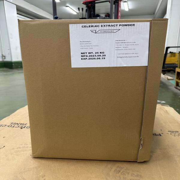 Celeriac Extract Powder SD00360001 / France