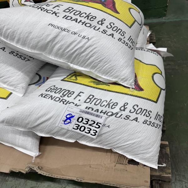 Lentils - George F. Brocke / USA