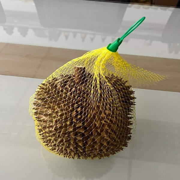 Frozen Durian