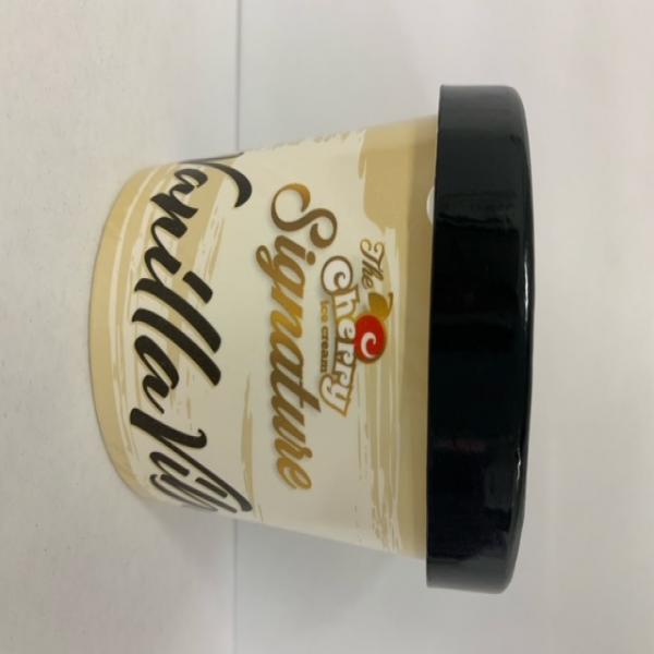 SINGNATURE  Vanilla Flavoured Dairy Ice Cream