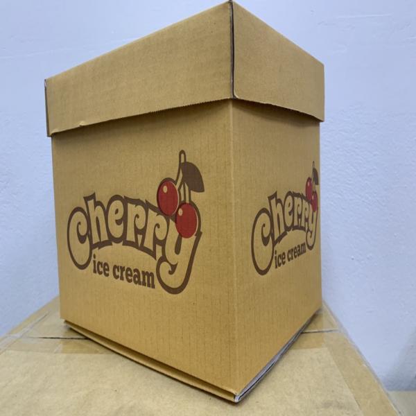 Vanilla Flavoured and Chocolate Flavoured Ice Cream