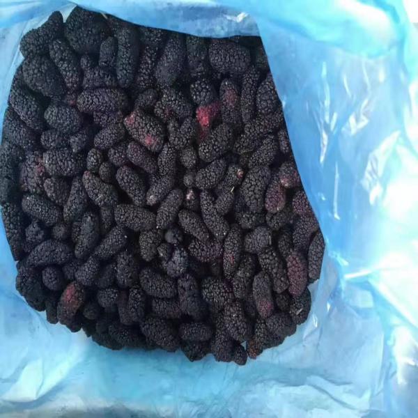 มัลเบอร์รี่