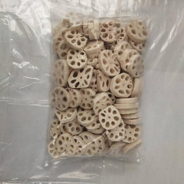 FROZEN LOTUS ROOT