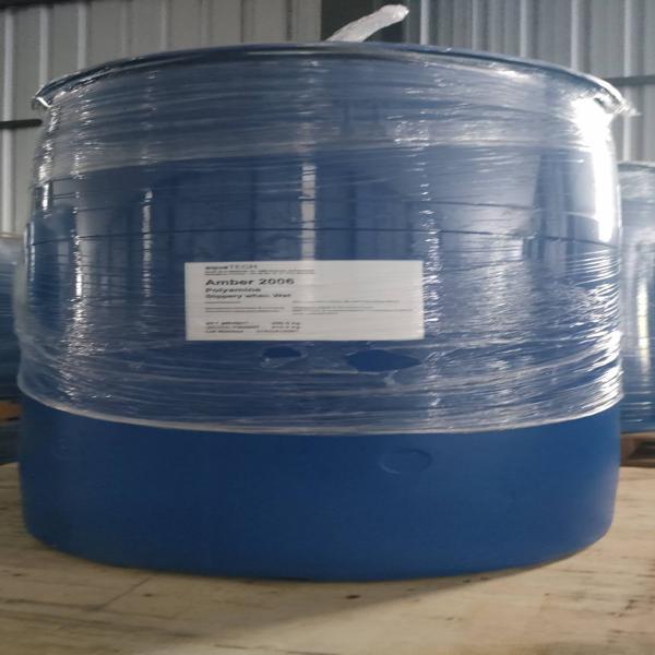 Amber 2006