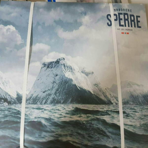 Frozen Atlantic Mackerel