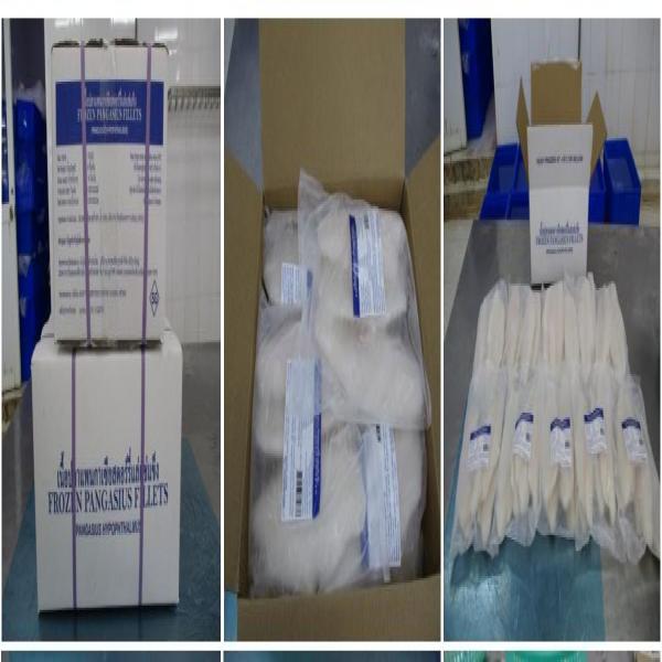 Frozen Pangasius Fillets ( Pangasius Hypophthalmus )