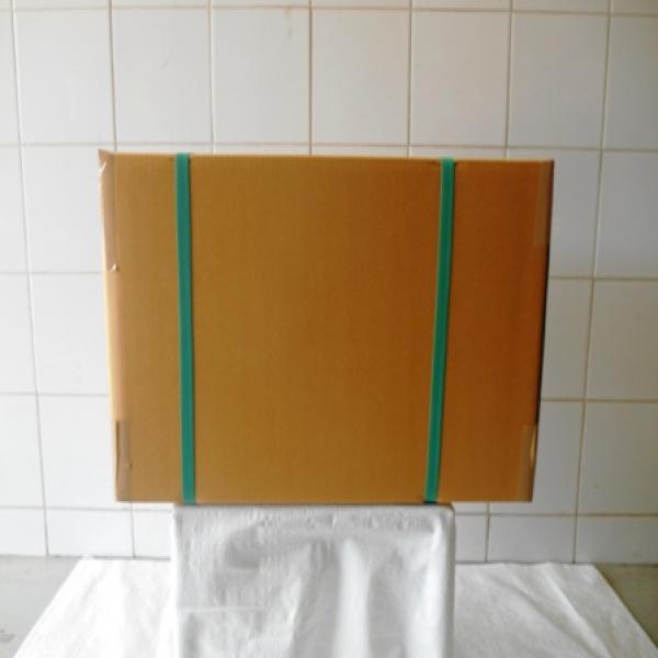 ลูกสำรอง