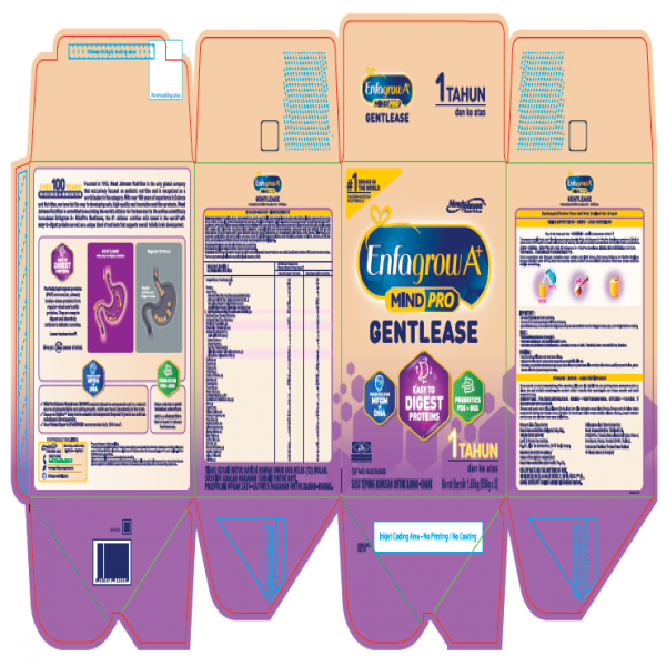 ENFAGROW A+ MINDPRO GENTLEASE