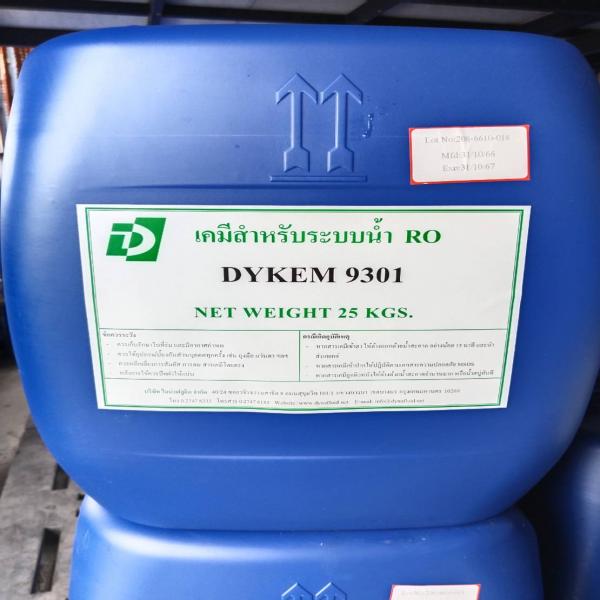 DYKEM 9301 / Germany