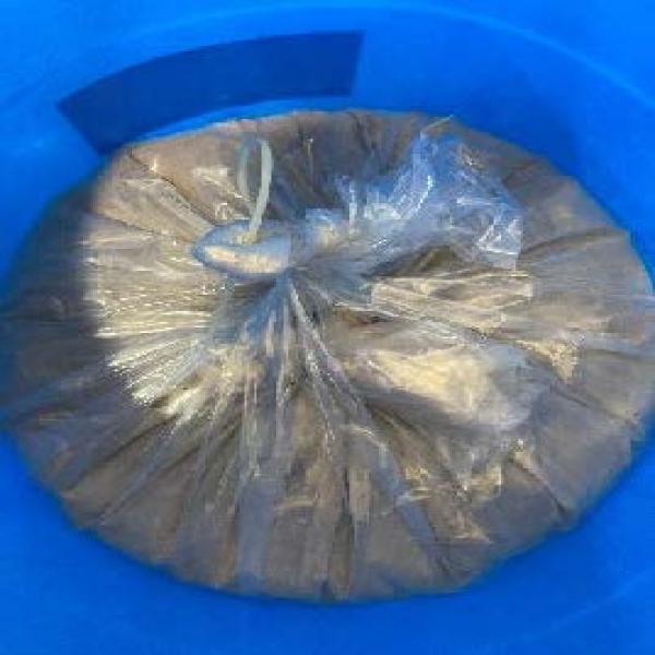 สารสกัดฟักทอง