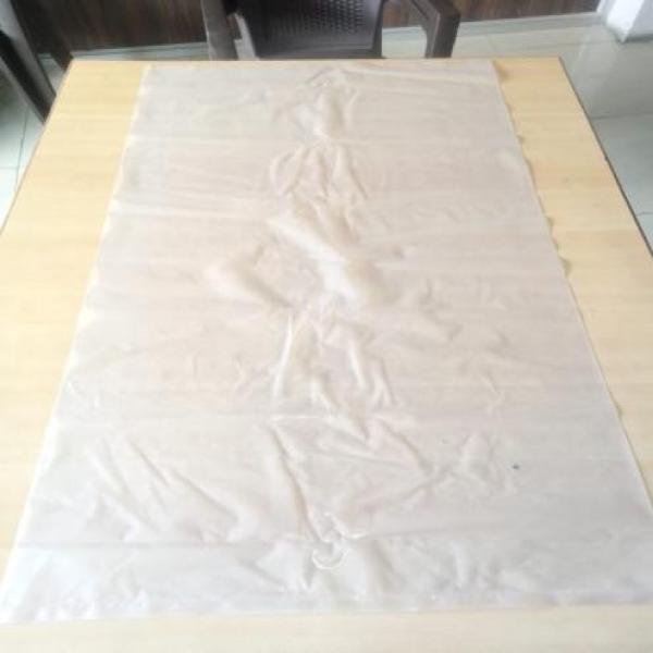 Terminalia bellirica (Gaertn.) Roxb.