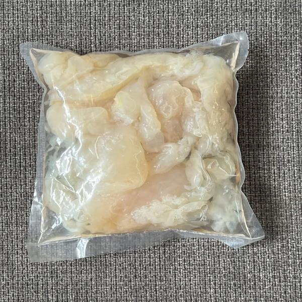 Jellyfish