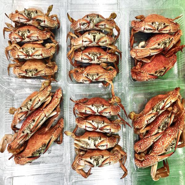 ปูม้าต้มสุก