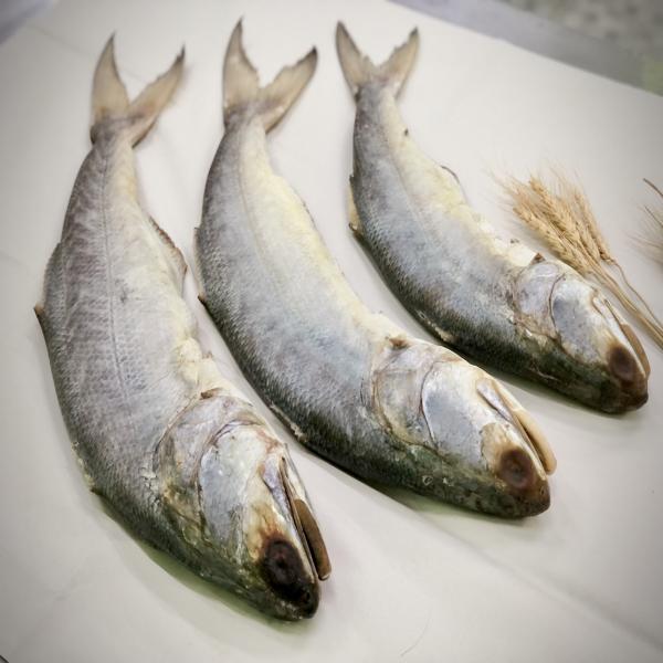 ปลากุเลาเค็ม